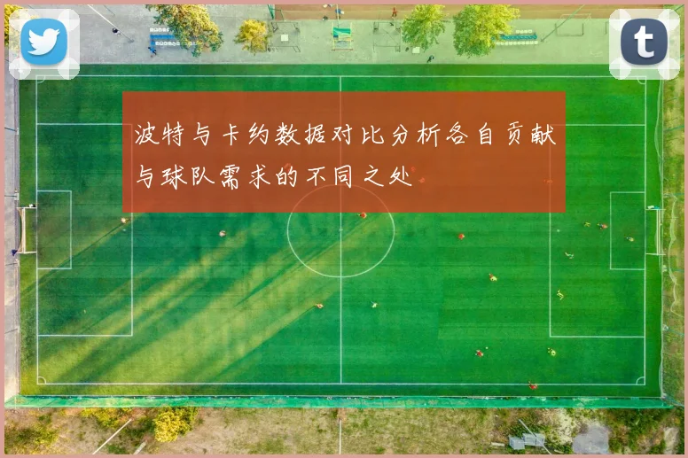 波特与卡约数据对比分析各自贡献与球队需求的不同之处