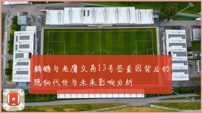 鹈鹕与老鹰交易13号签奎因背后的隐秘代价与未来影响分析