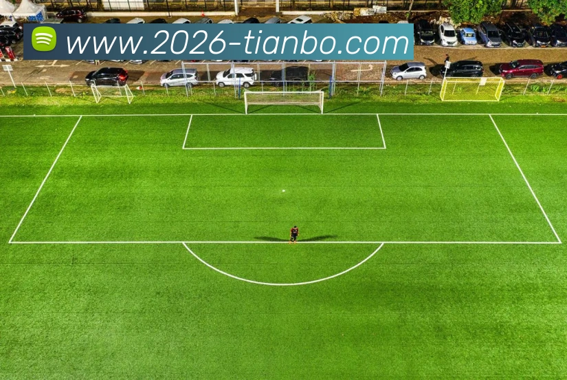 天博体育平台生态图