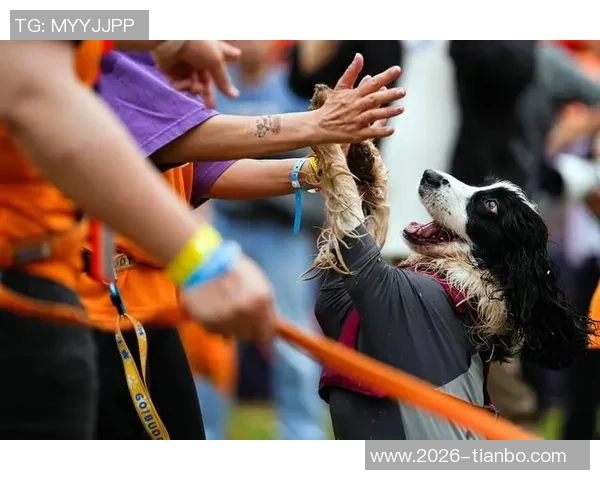马克西携爱犬挑战敏捷赛道现场观众热情高涨达15000人